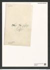 Diatomeae indet. Zeichnungen Sammlung Grunow (NHMW-BOT-W0375957)